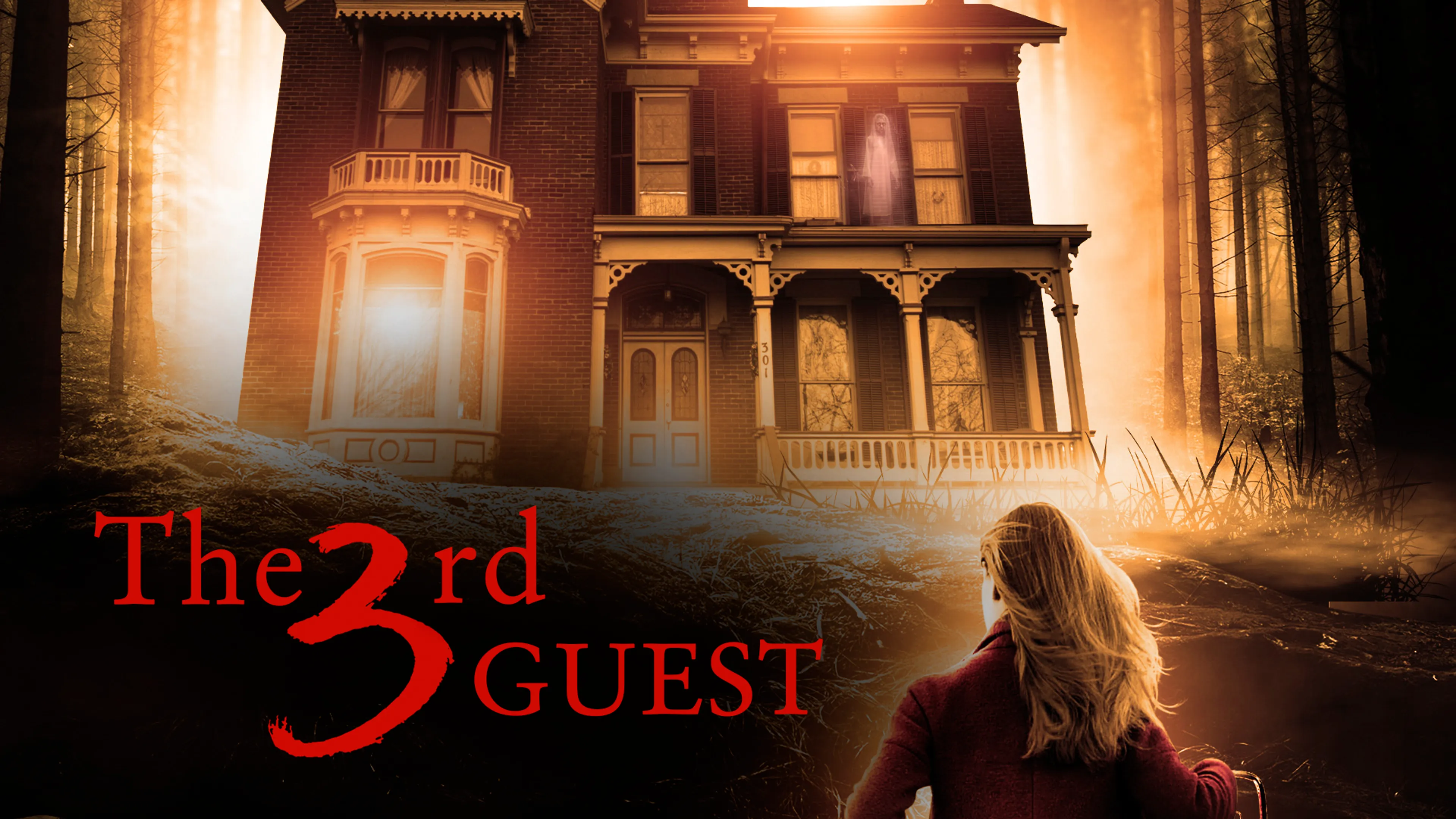 The 3rd Guest poster